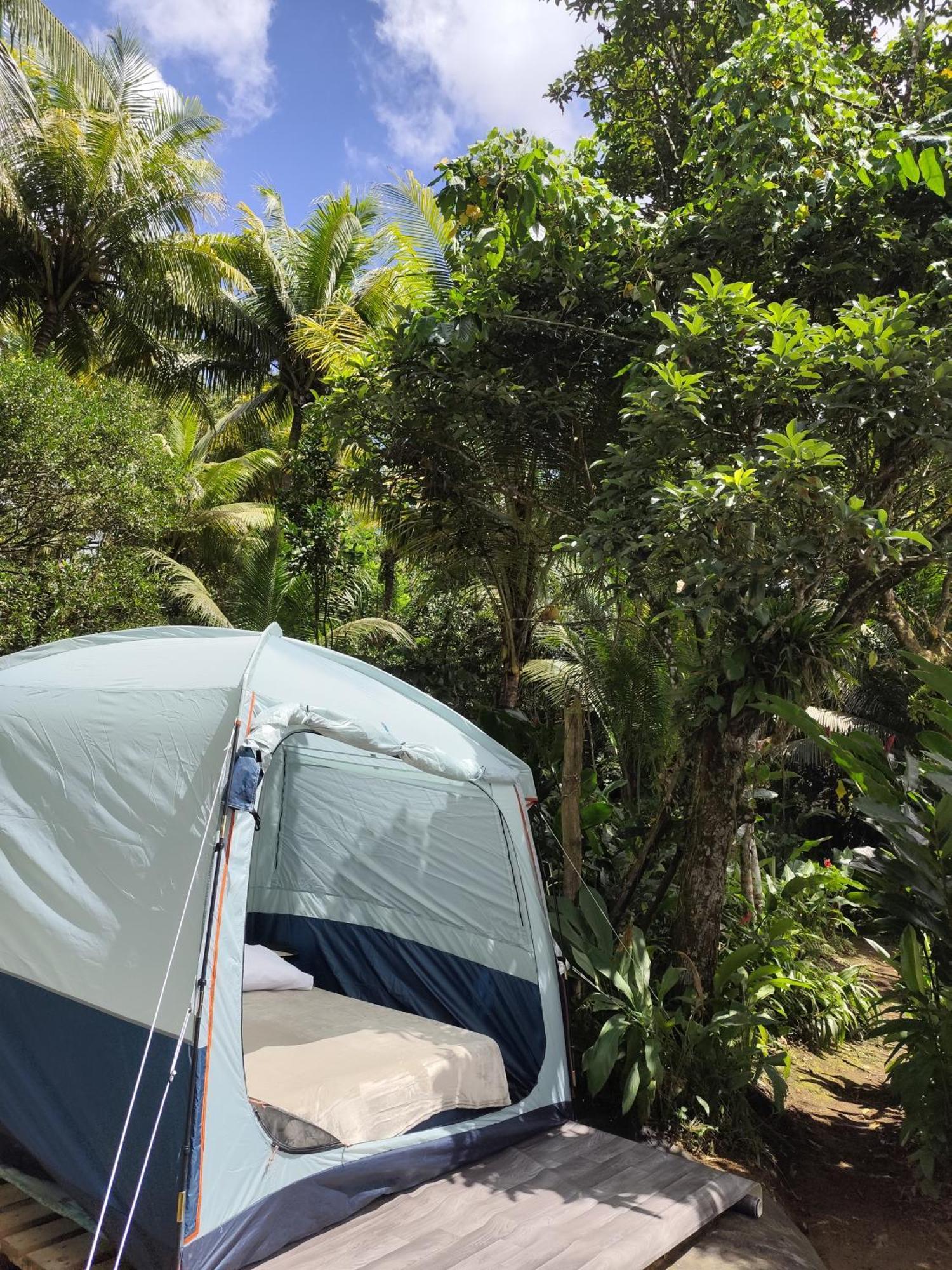 Camping A La Ferme Gros-Morne Exterior foto